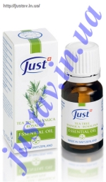 ������� ����� ������ ������ 10 �� 