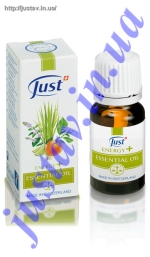 ������� ����� Energy Plus 10 �� 