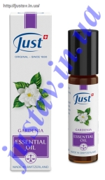 ������� ����� �������� 10 �� 